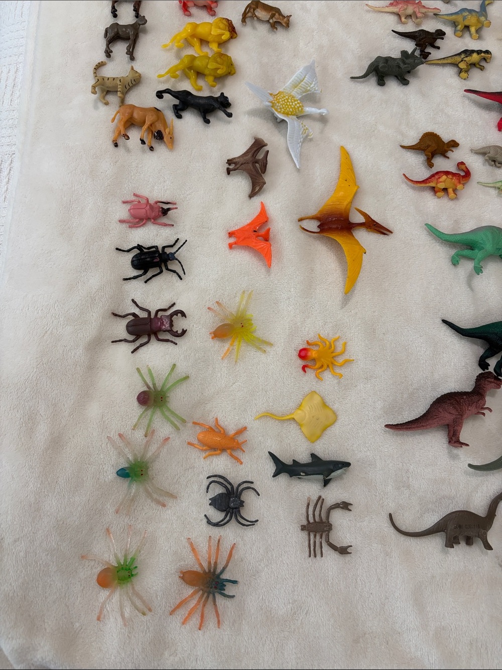 Mini Assorted Plastic Reptile & Animal Toy Set - Multicolor - Picture 3 of 5